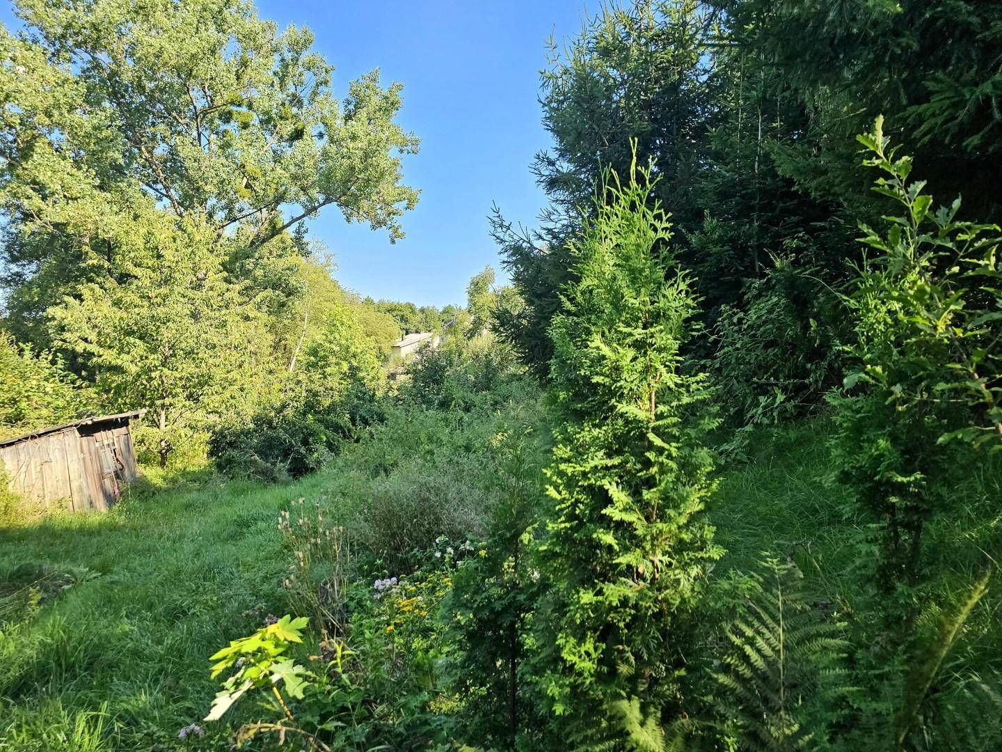 großzügige Gartenfläche mit viel Potential