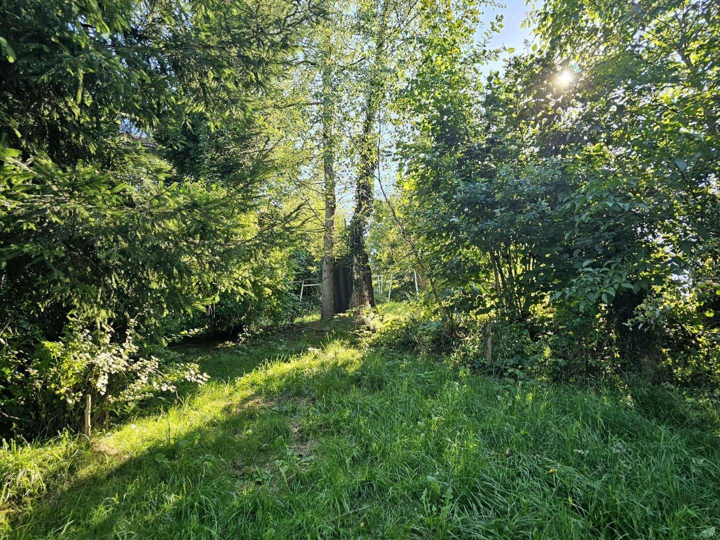 großzügige Gartenfläche mit viel Potential