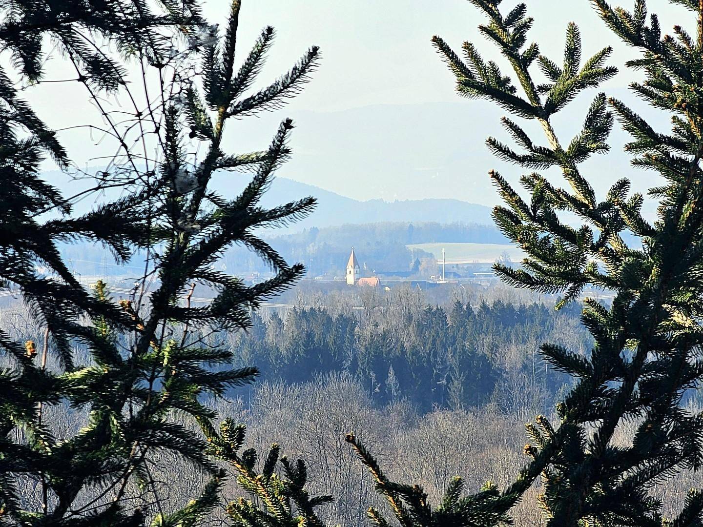 Detail - Aussicht