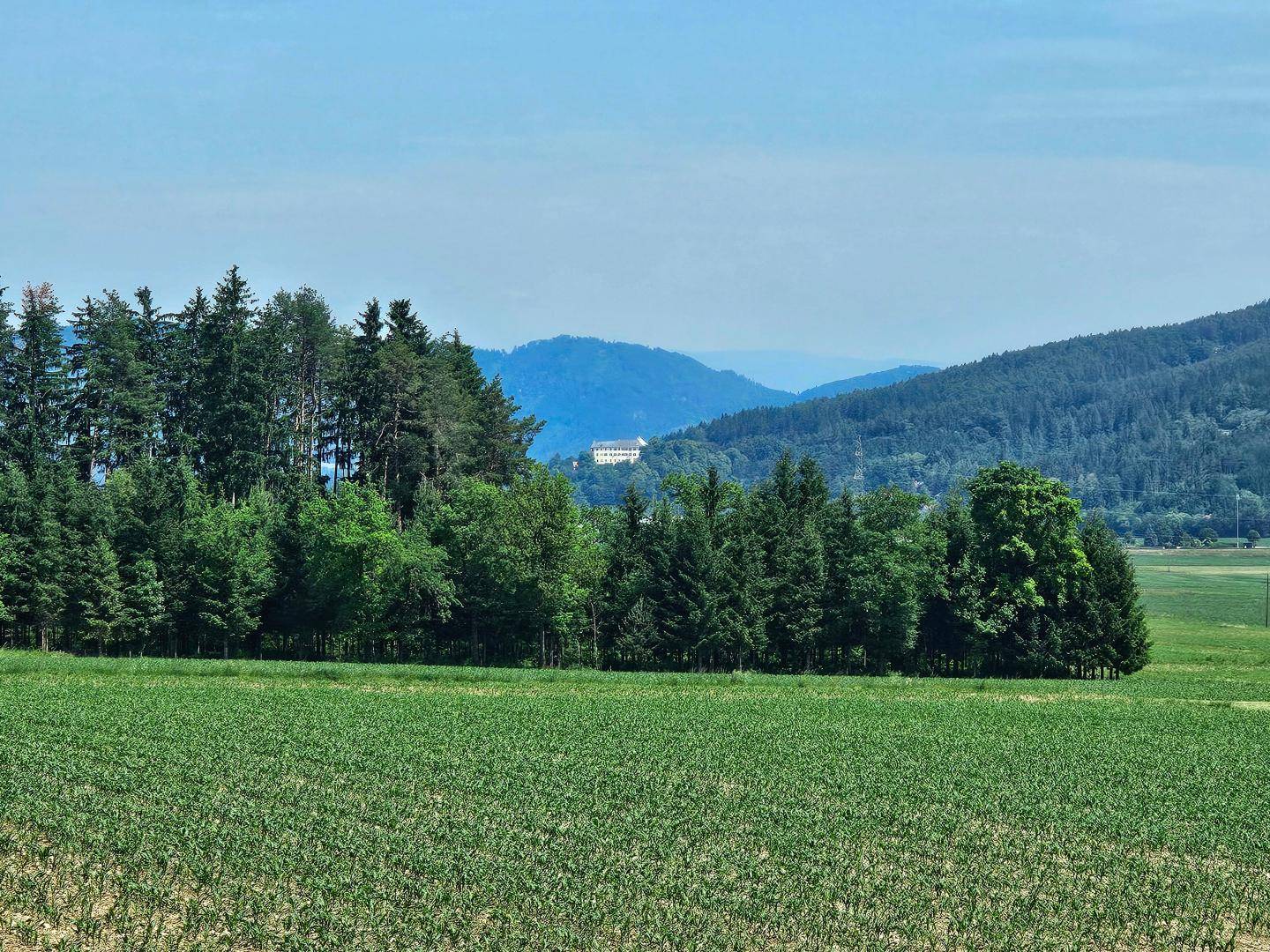 Blick auf Schloss Bleiburg