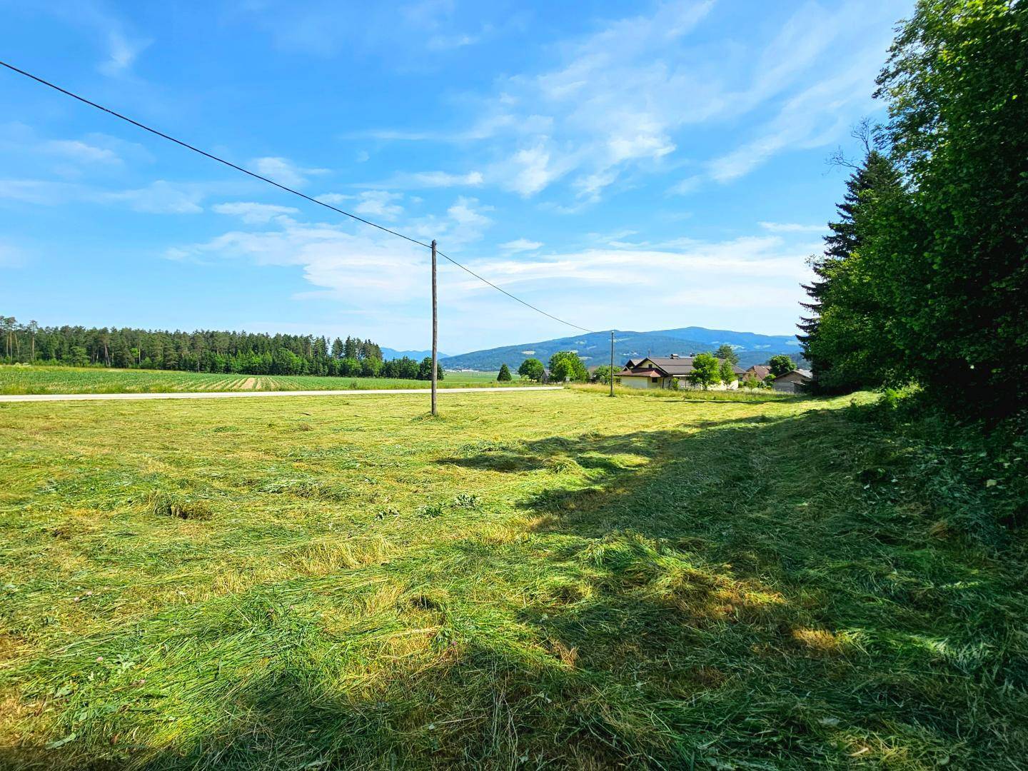 Wiesenflächen Ostseitig