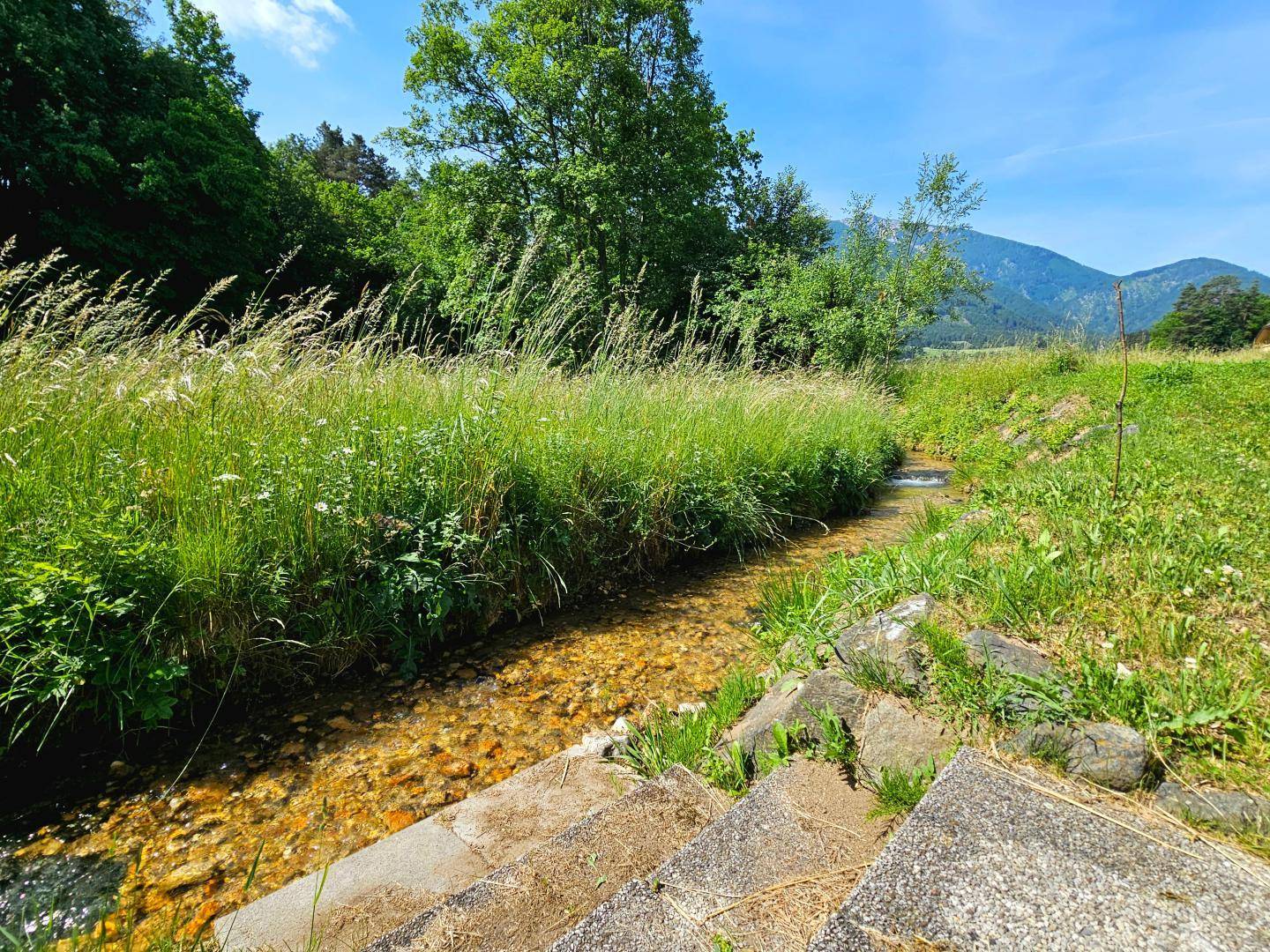 Bachlauf hinter dem Haus