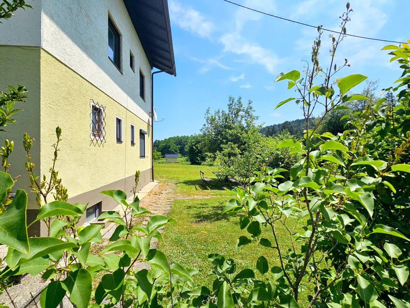 allgemeiner Gartenbereich