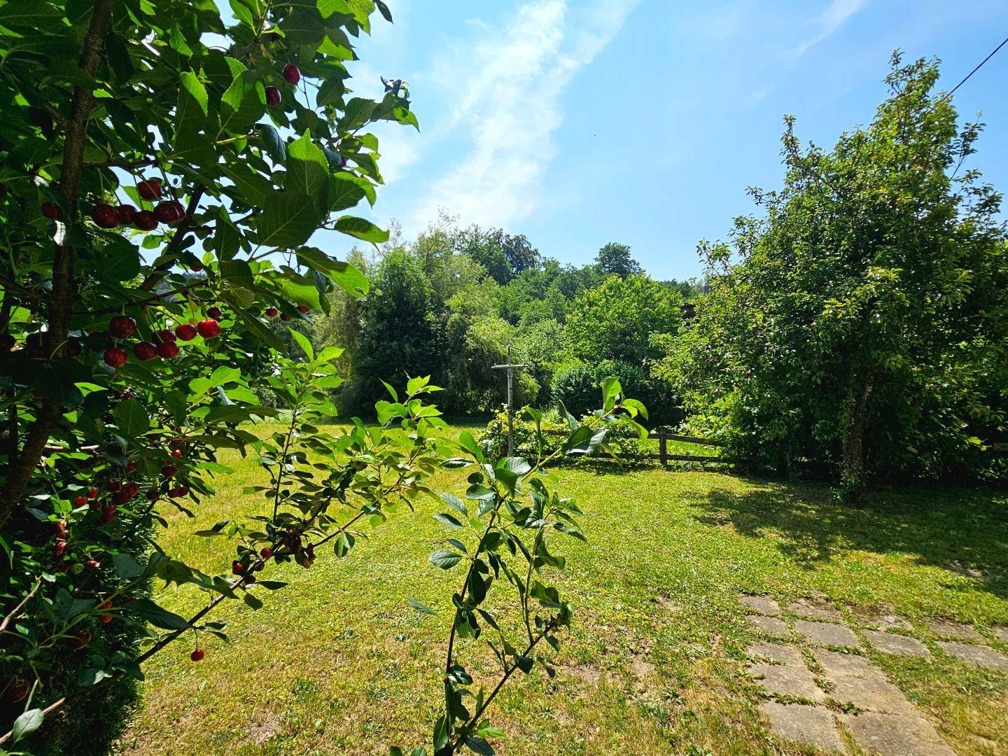 Blick von der Terrasse nach Süden