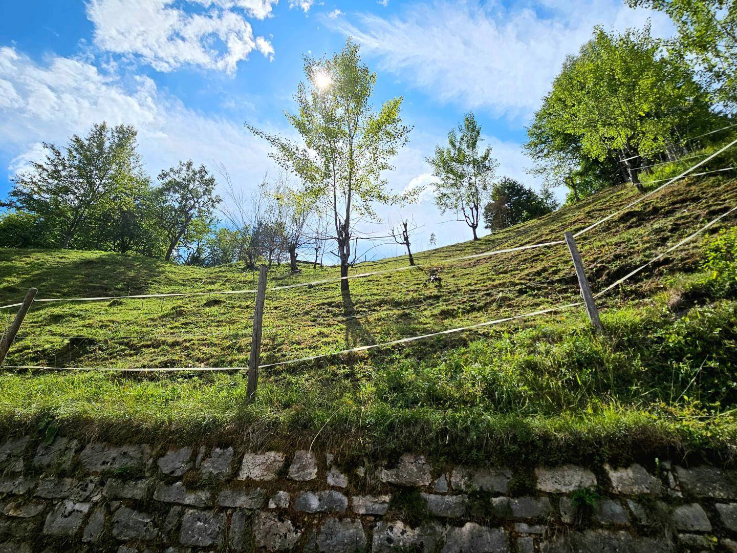 Wiesenfläche vor dem Hauseingang