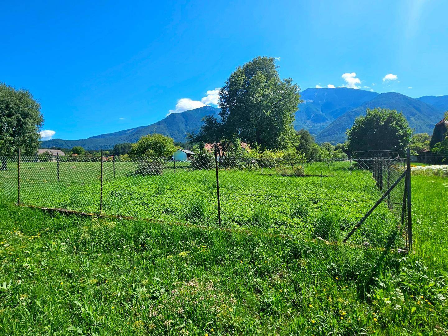 Gemüsegarten