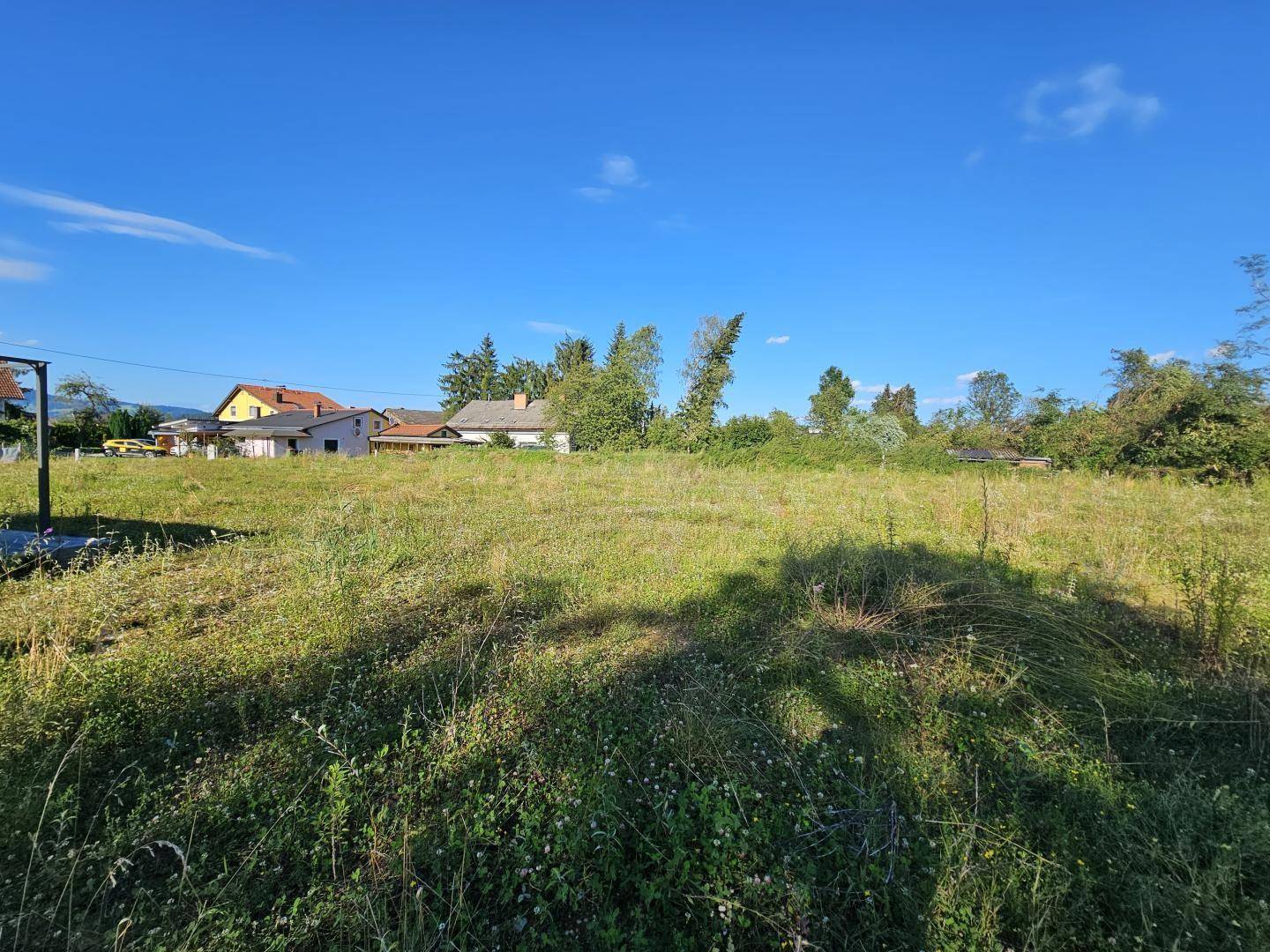 Sonnige Grünfläche des Grundstücks mit hohem Gras und Häusern in der Ferne unter blauem Himmel.