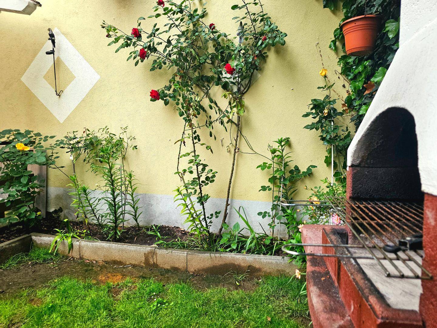 Gartenbeet mit Rosen und Pflanzen, angrenzend an einen gemauerten Grillplatz.
