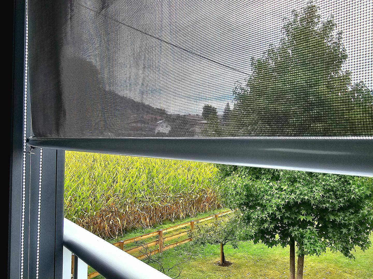 Blick aus dem Fenster durch einen Rollladen auf grüne Bäume und Felder.