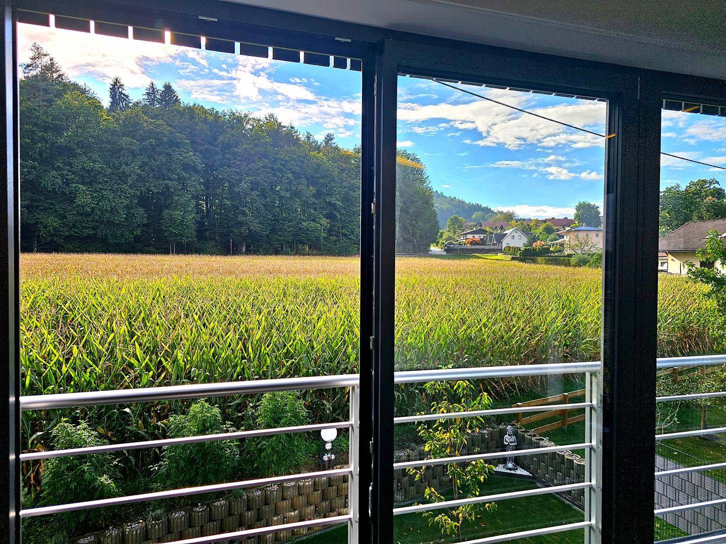 Weitläufiger Blick aus dem Fenster auf grüne Felder und die umliegende Natur.