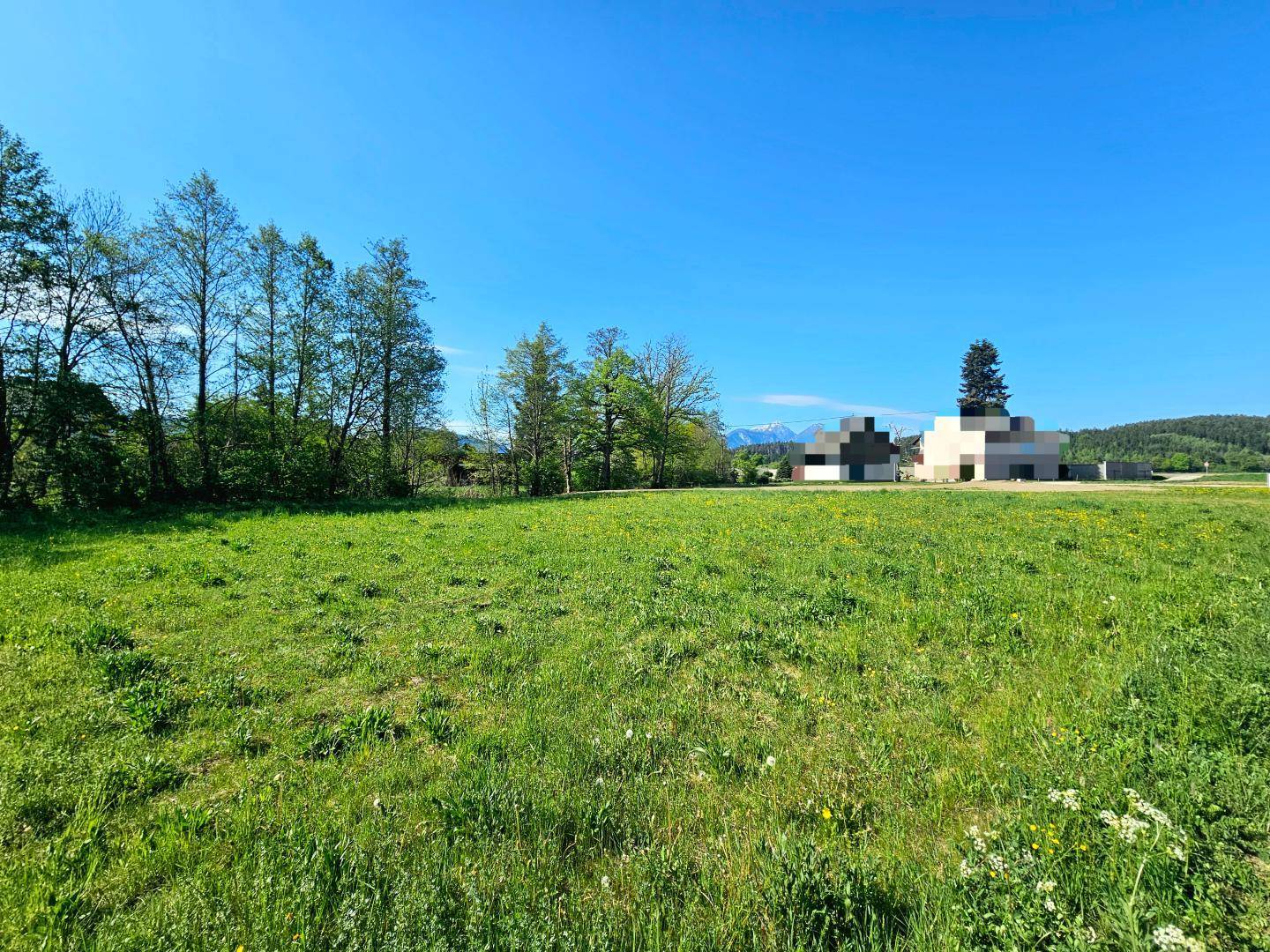 Weitläufige grüne Wiese mit Blick auf moderne Gebäude und schneebedeckte Berge in der Ferne.
