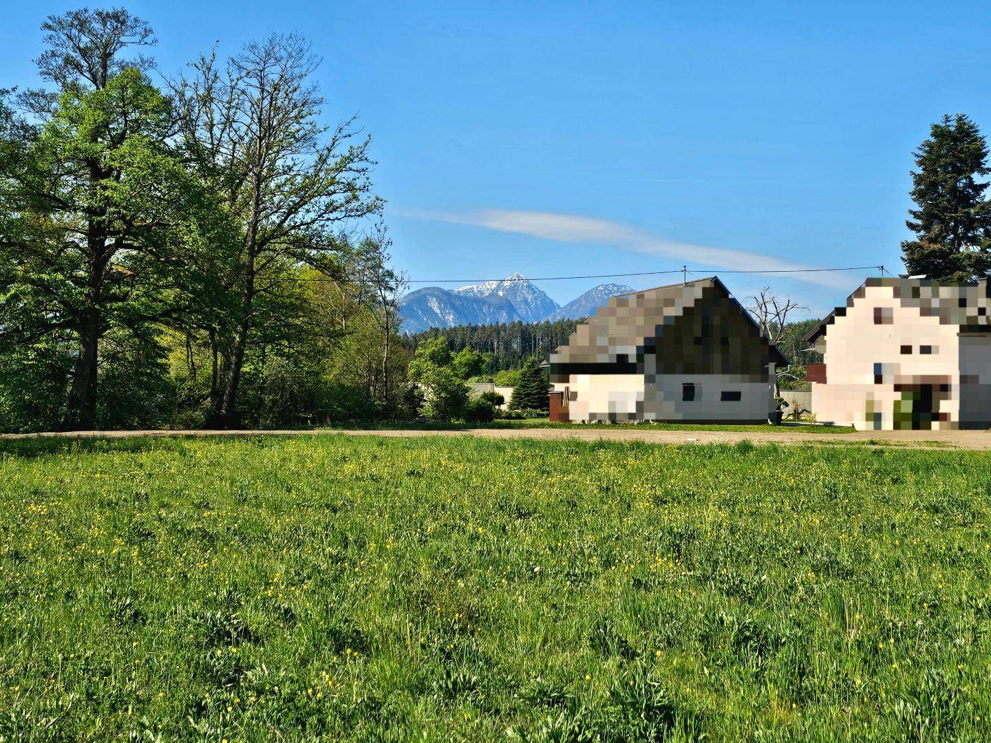 Grüne Wiese mit traditionellen Häusern und majestätischen schneebedeckten Bergen im Hintergrund.