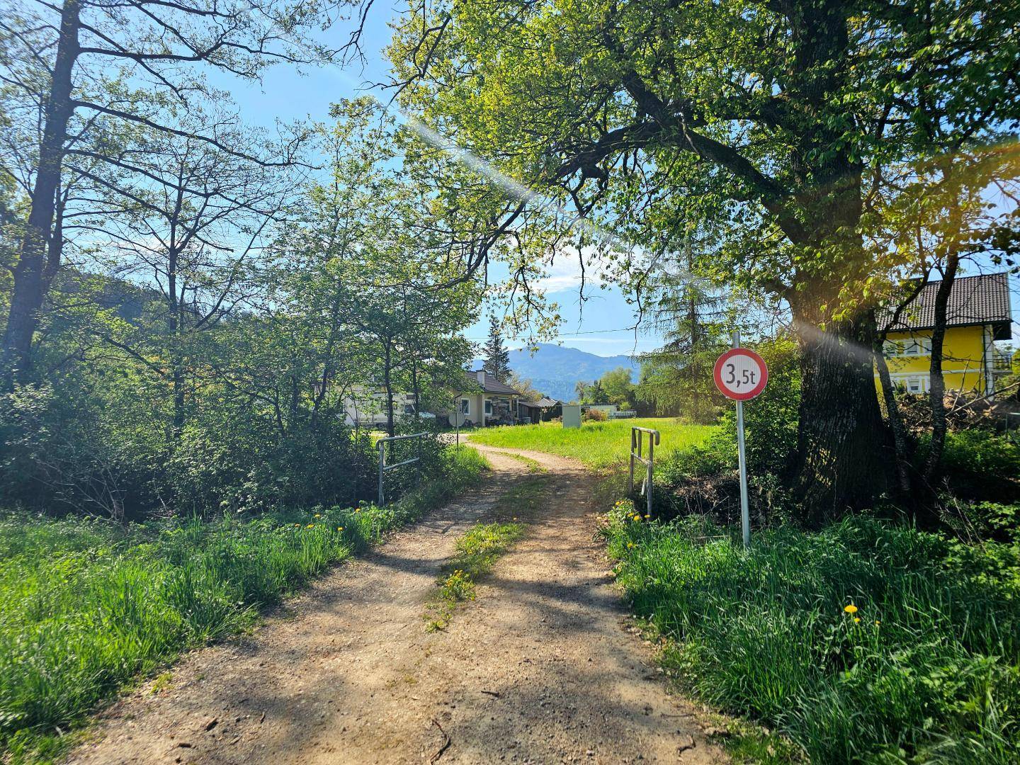 Unbefestigter Feldweg umgeben von Bäumen und grüner Vegetation, führt zu entfernten Häusern.