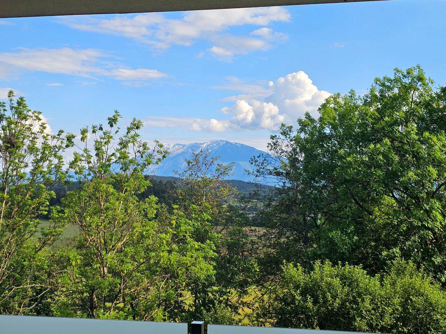 Malerischer Ausblick auf die Berge und grüne Natur von einem Balkon.