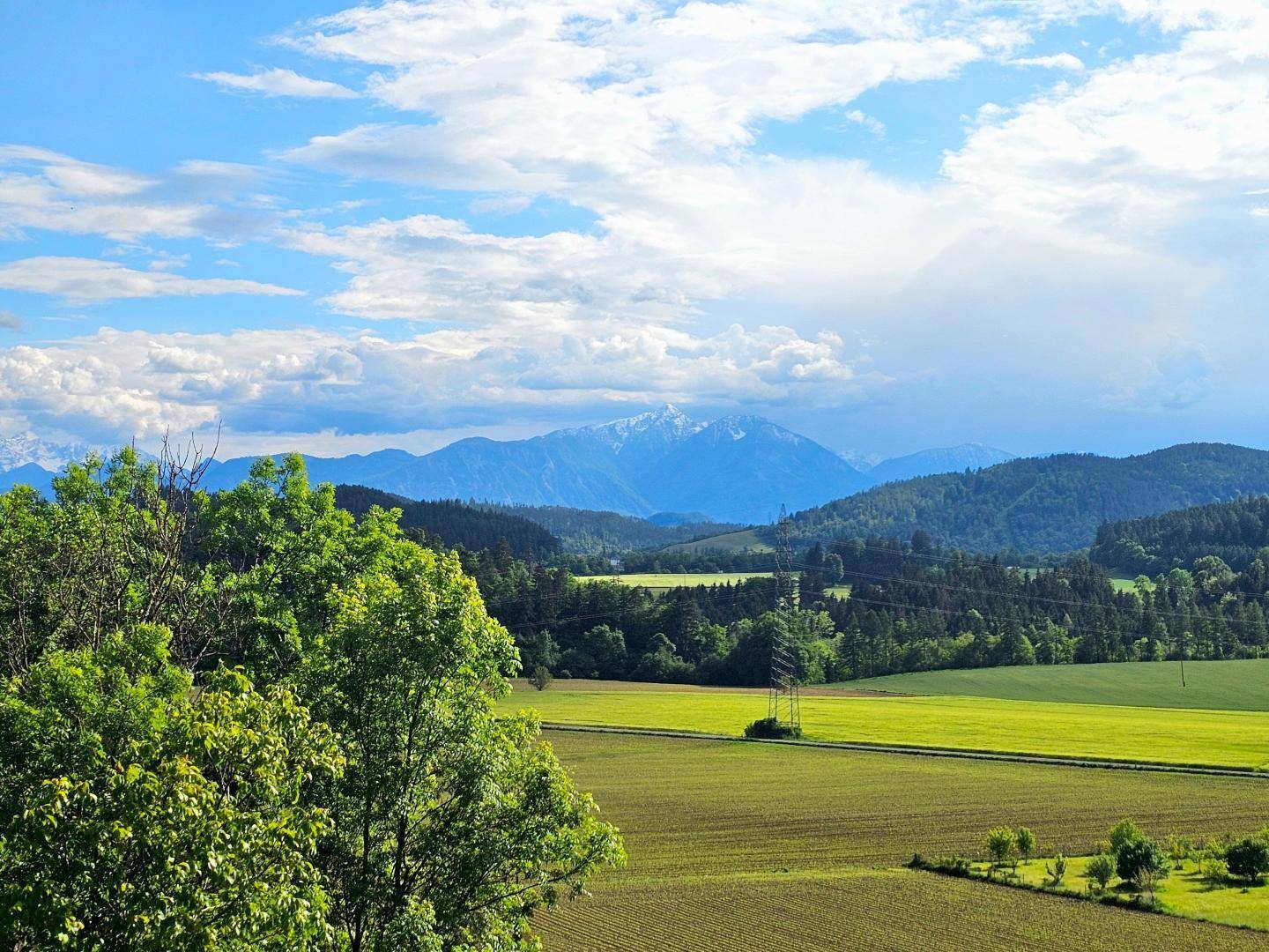 Weitläufiger Panoramablick über die grüne Landschaft mit Bergen im Hintergrund.