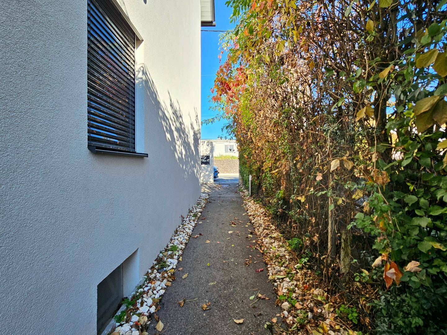 Schmaler Weg entlang einer hohen Hecke und der Gebäudeseite mit Herbstlaub.