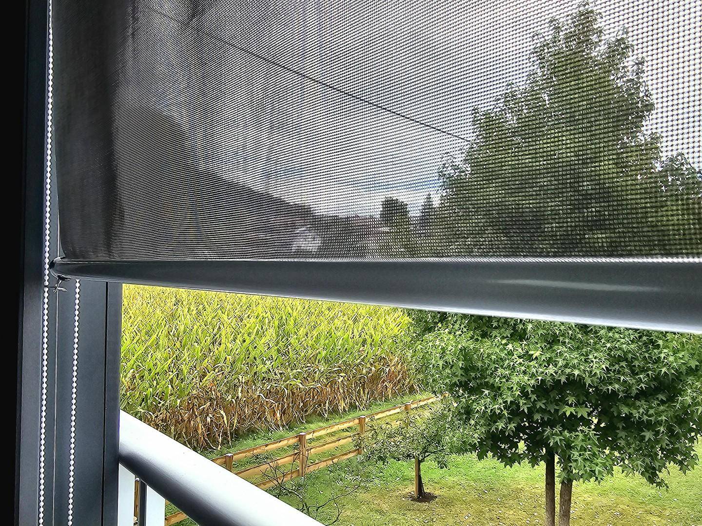 Detailaufnahme eines Rollos vor einem Fenster mit Blick auf grüne Natur.