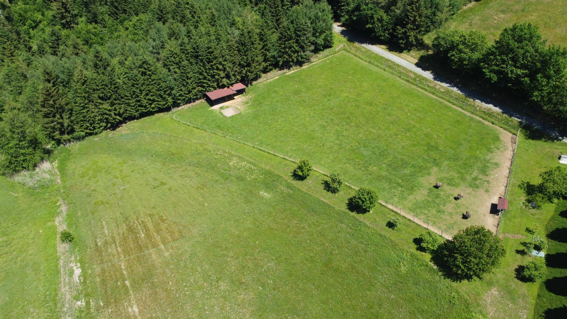 Außergewöhnliches Refugium in Ruhe- und Alleinlage (erweiterbar auf ca. 5 ha) – pohled 4