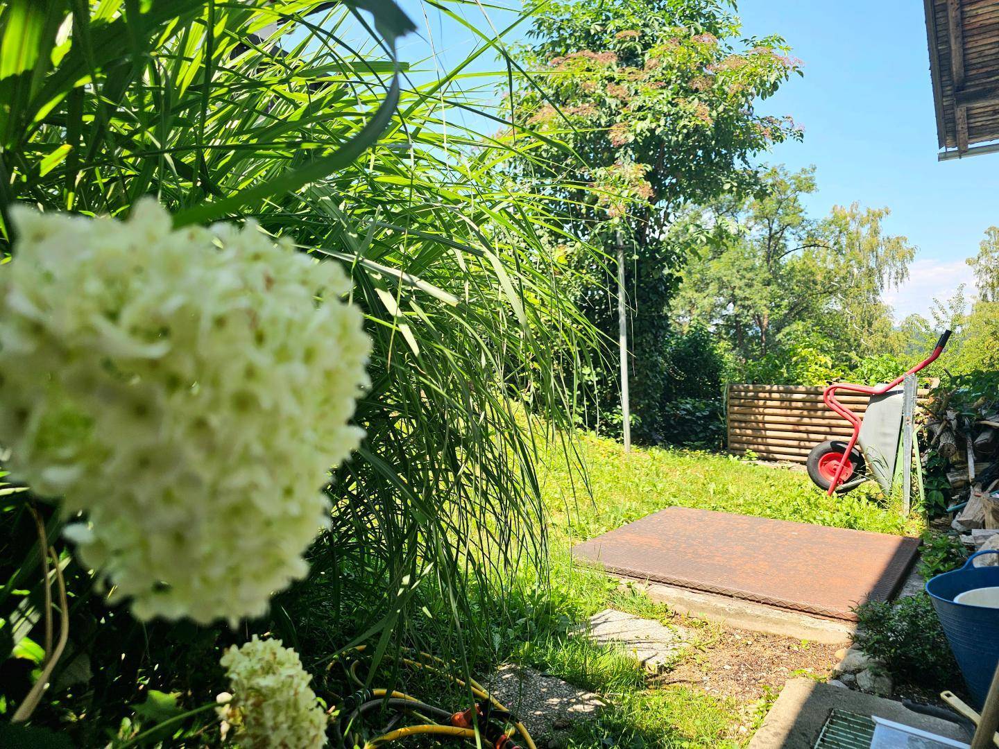 Grüner Gartenbereich mit hohen Gräsern, Blumen und einer Schubkarre im Hintergrund.