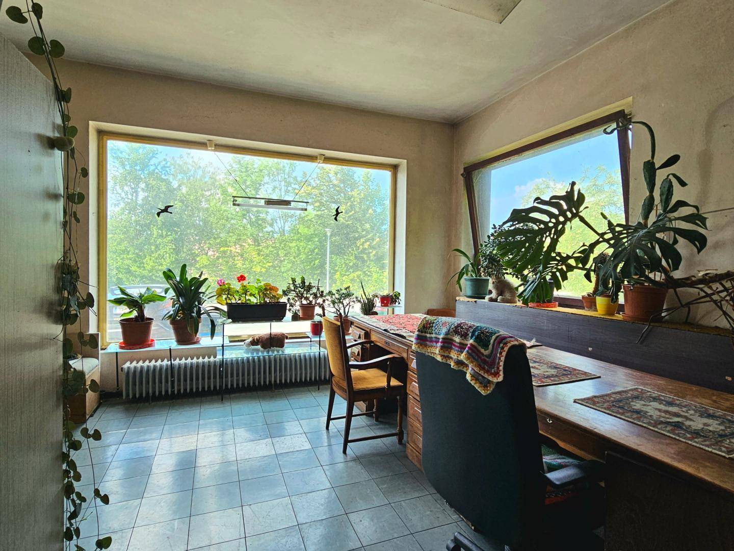 Heller Raum mit großen Fenstern, Fliesenboden und vielen Pflanzen, ideal als Büro.