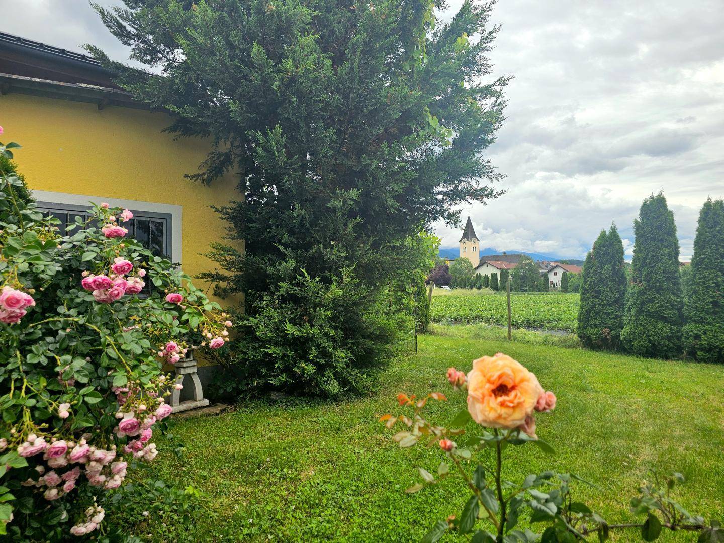 Grüner Garten mit blühenden Rosen, hohen Bäumen und Blick auf eine Kirche und Weinberge.