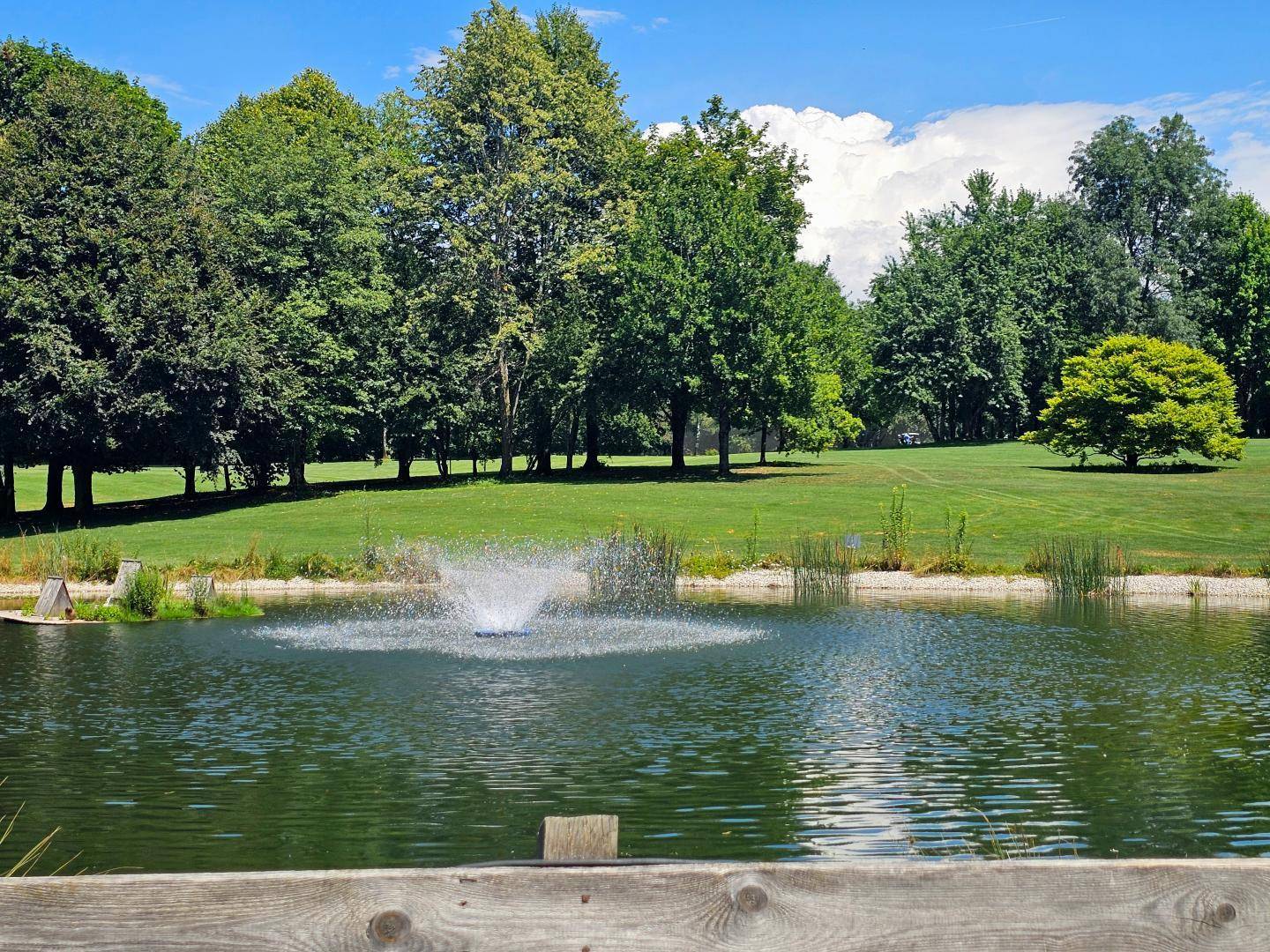 Teich mit Springbrunnen, umgeben von einer weitläufigen Rasenfläche und hohen Bäumen.