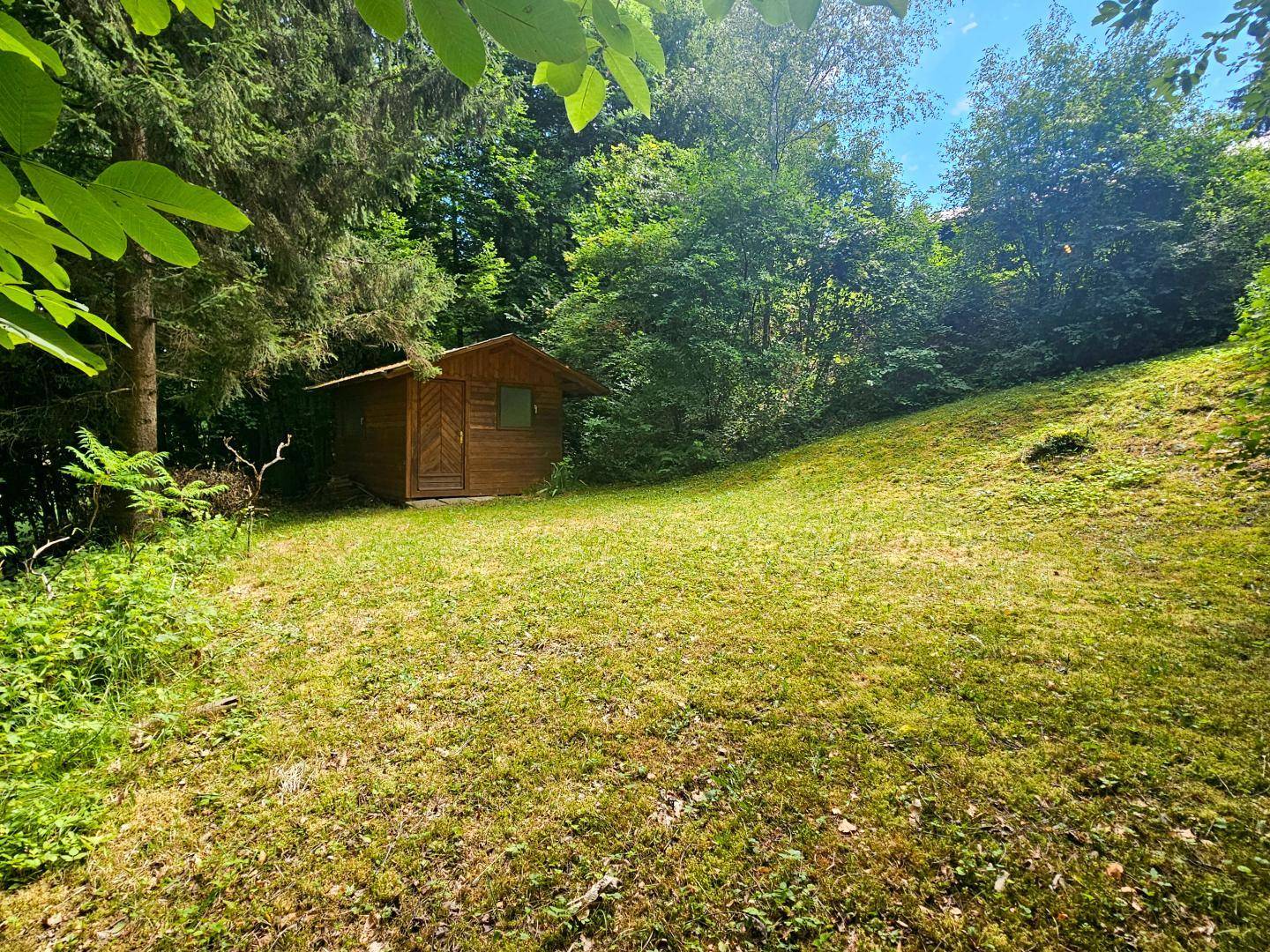 Grüne Wiese mit einem kleinen Holzschuppen am Waldrand unter strahlend blauem Himmel.