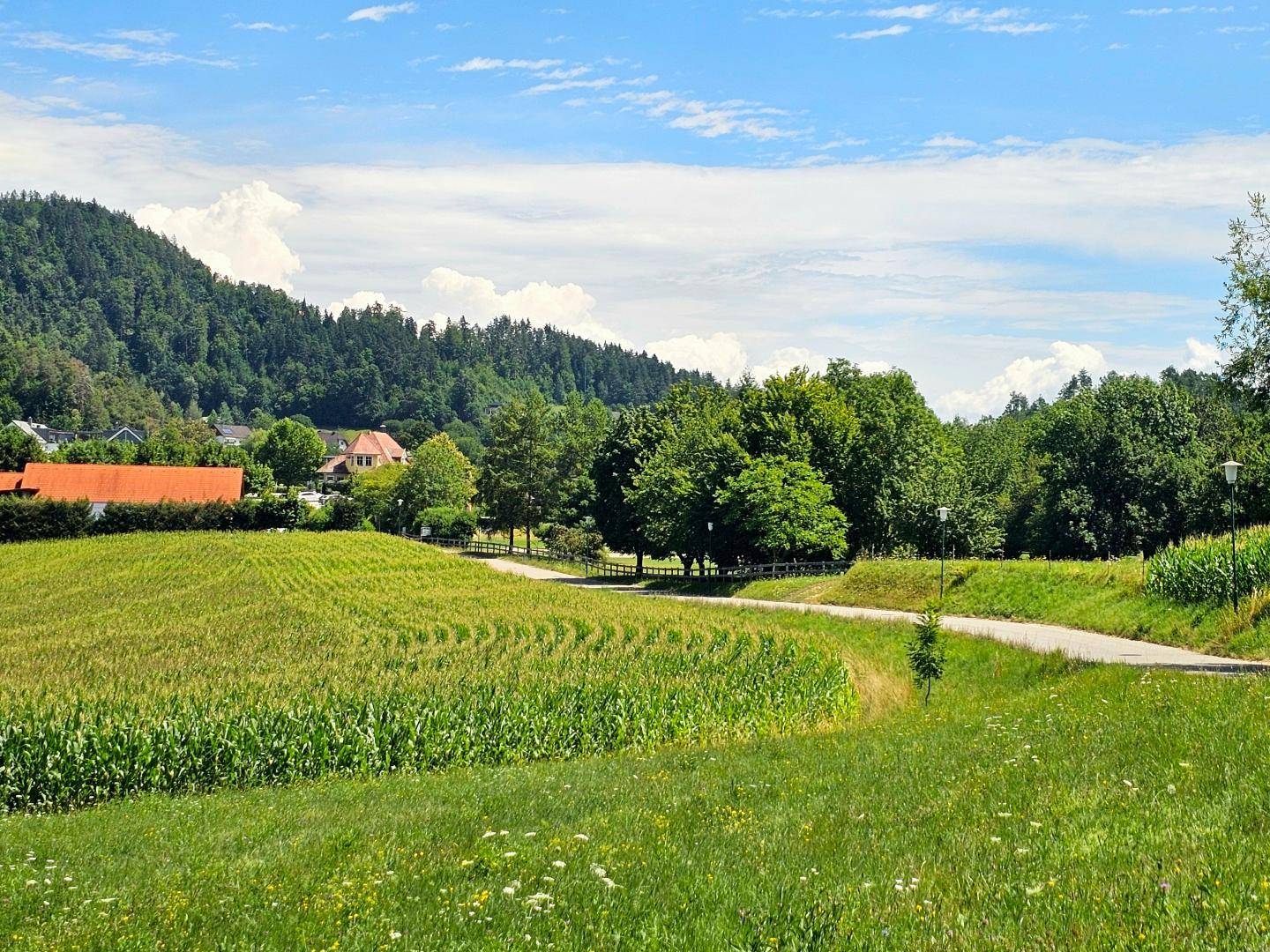 Malerische Landschaft mit grünen Feldern, einem Feldweg und bewaldeten Hügeln im Hintergrund.