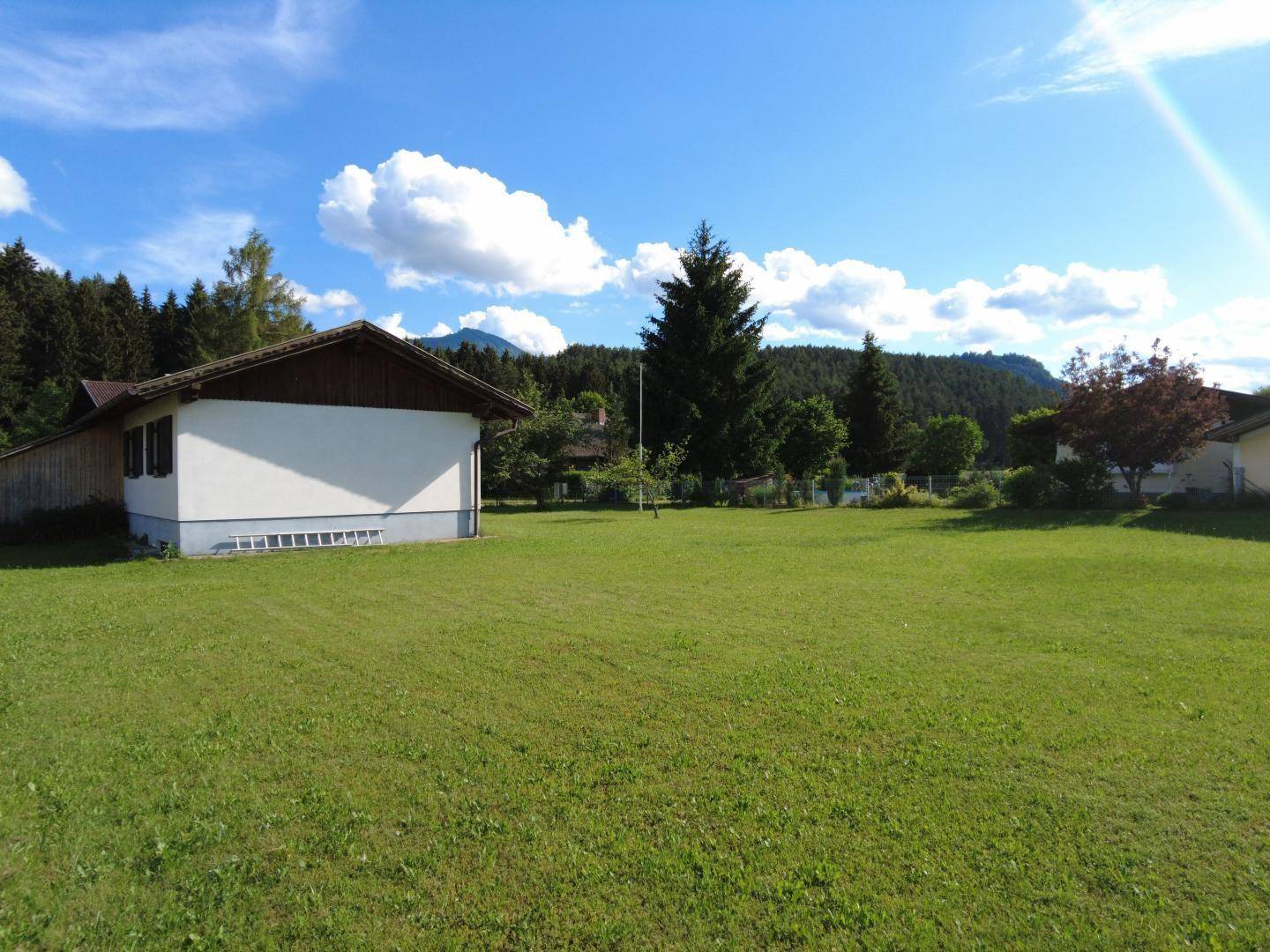 Sonnige Rasenfläche des Gartens mit dem Haus und Bäumen im Hintergrund unter blauem Himmel.