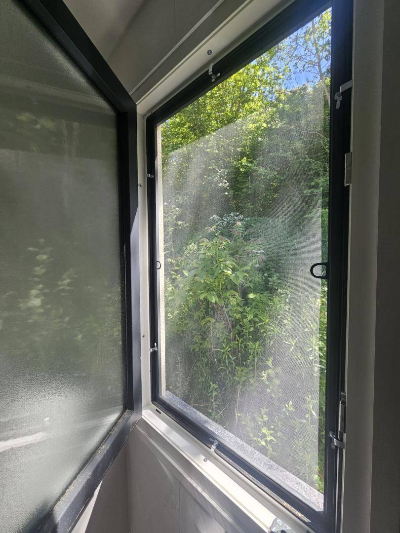 Geöffnetes Fenster mit Fliegengitter bietet Blick auf üppiges Grün und Bäume.