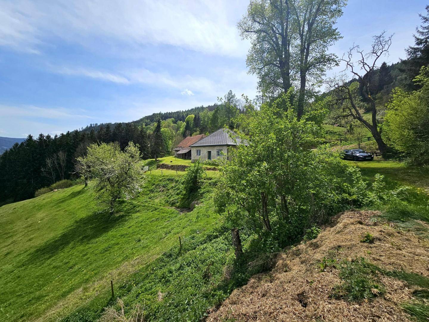 Liegenschaft