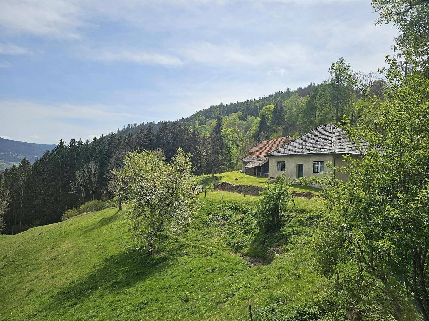 Liegenschaft