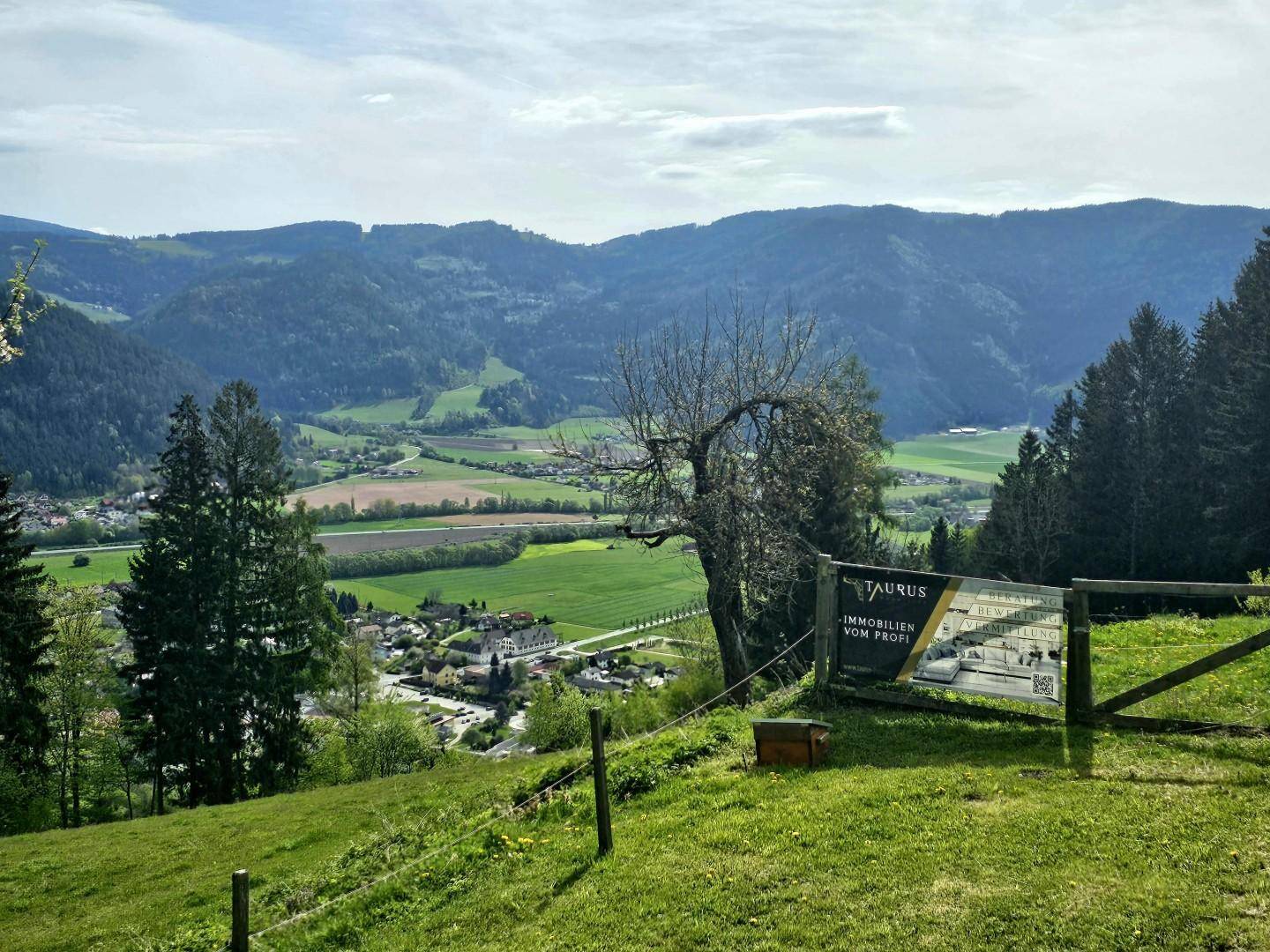 Ausblick