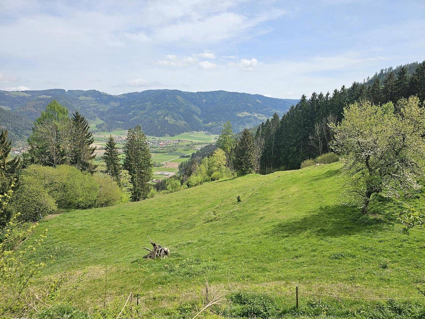 Weidefläche