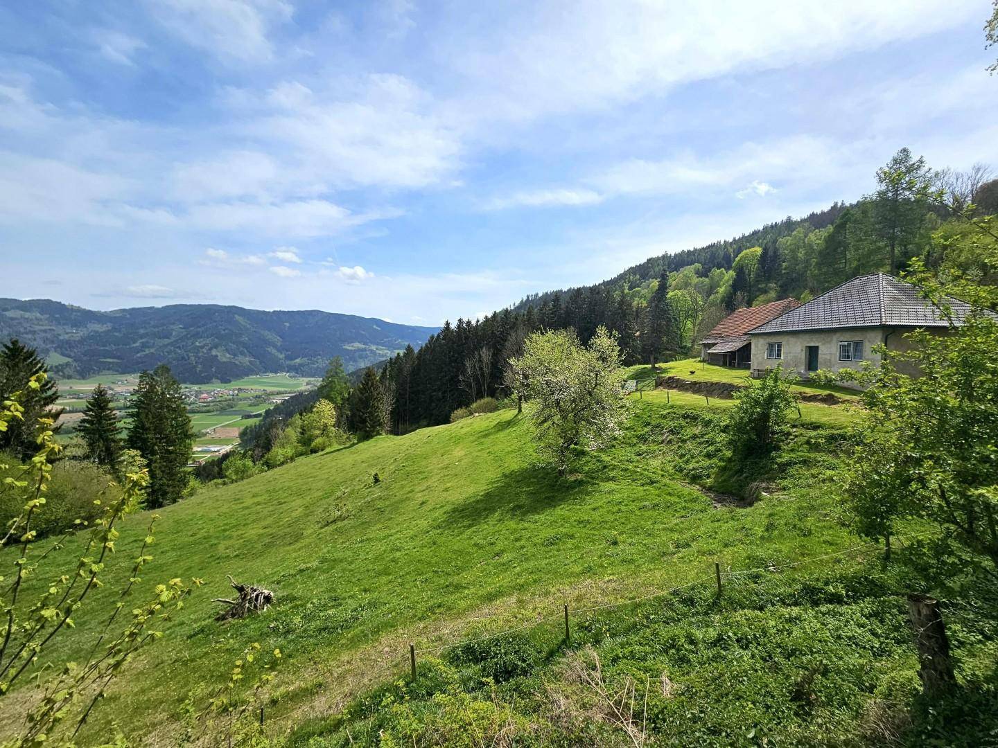 Liegenschaft