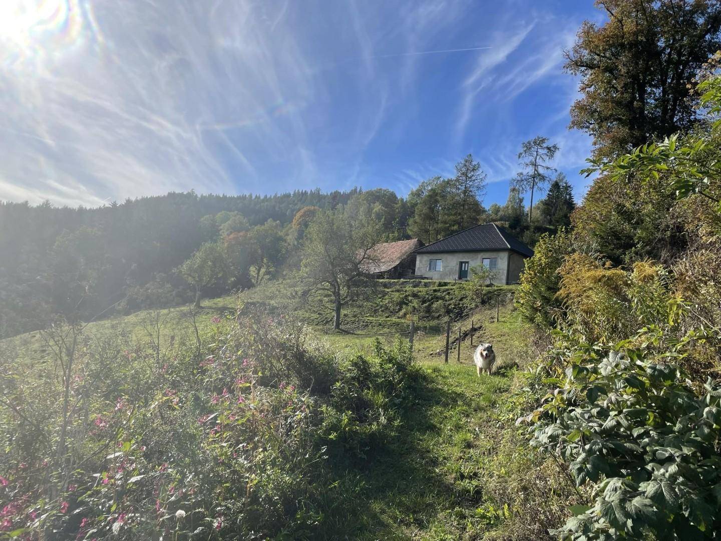 Liegenschaft