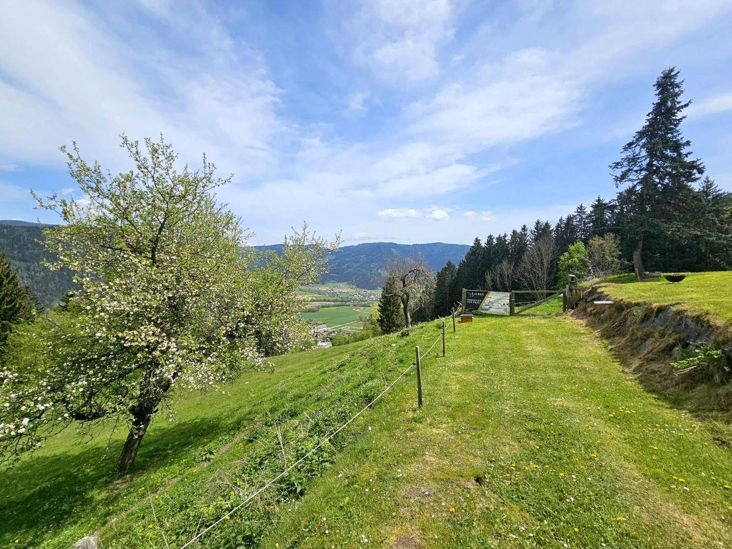 Weg zur Weidefläche