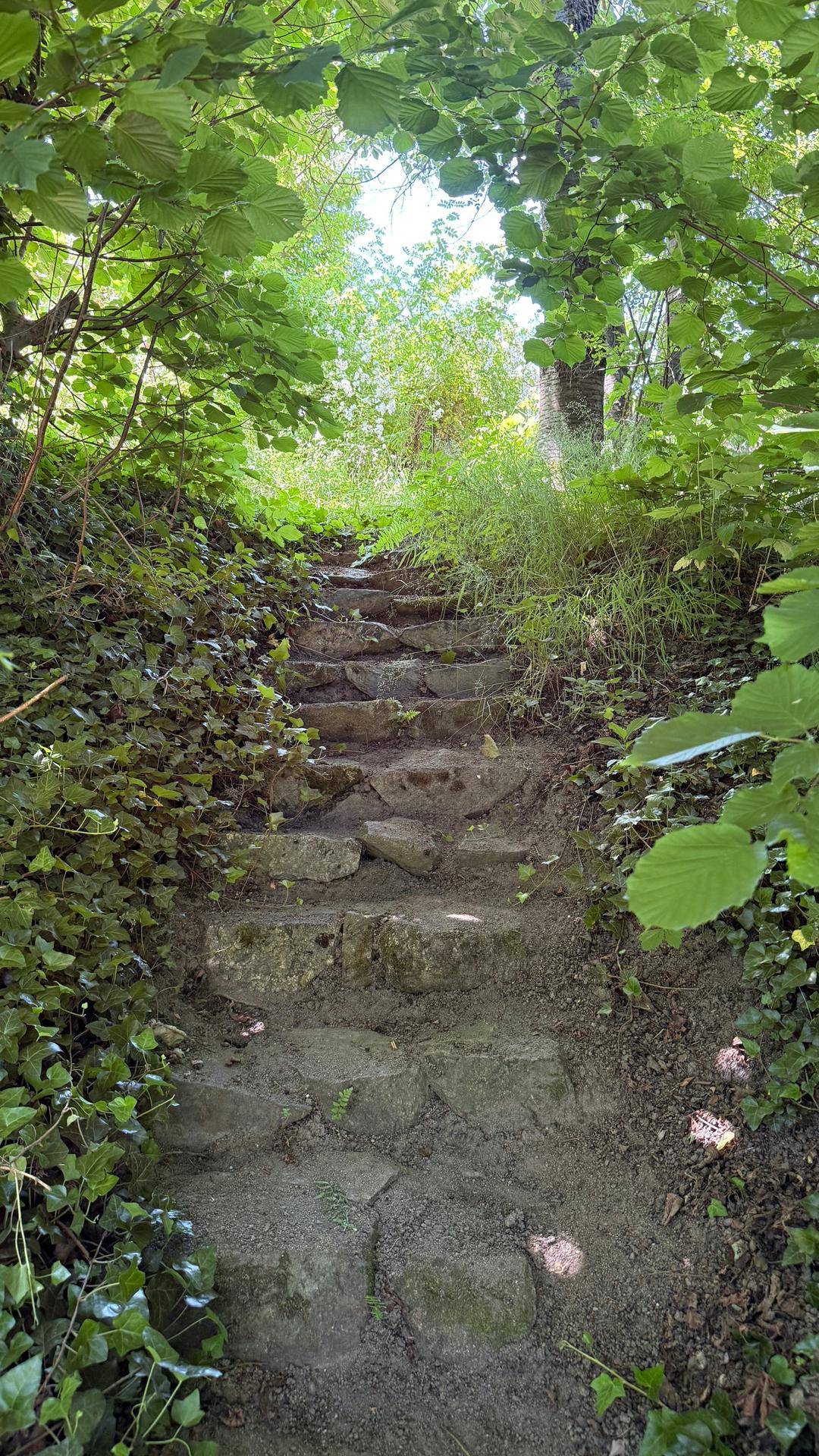 Gartentreppe