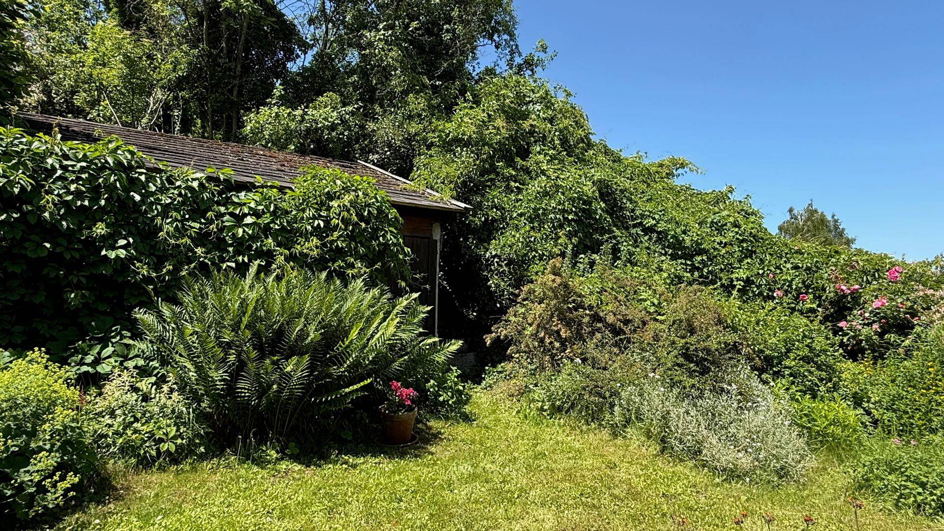Garten mit Laube
