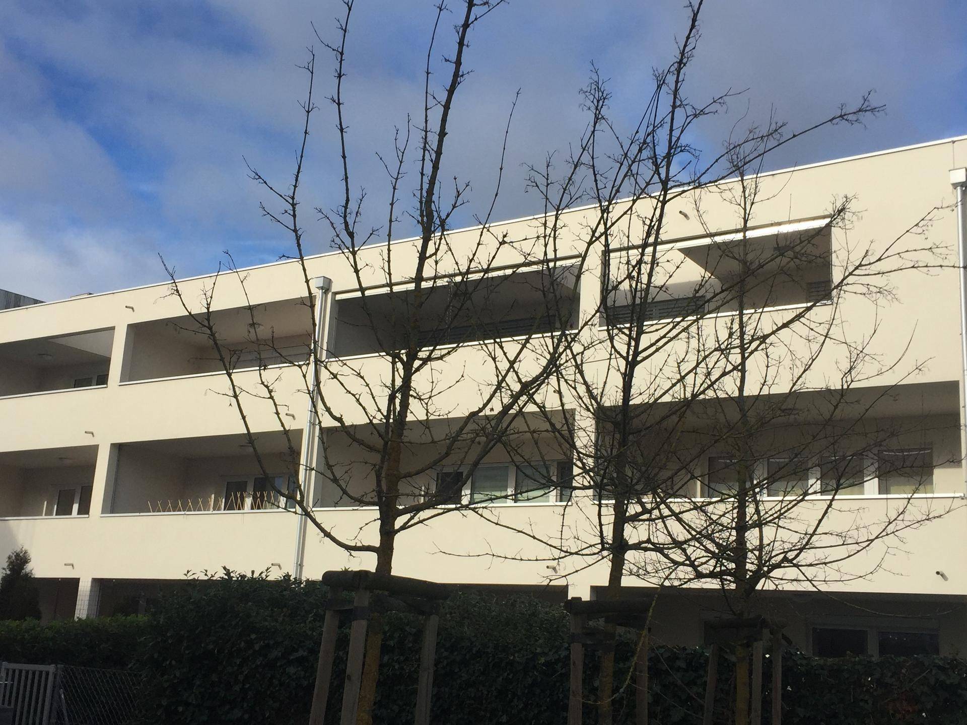 2019-02-27 22.05.07-1-1