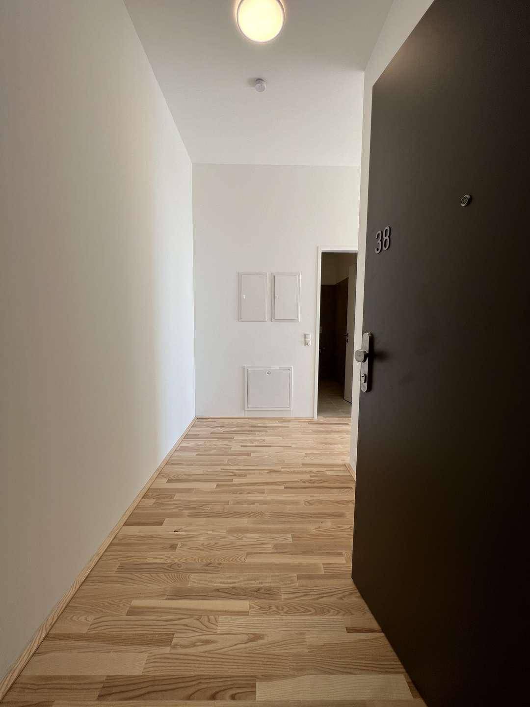 Heller Eingangsbereich mit Holzboden und einer modernen Wohnungstür.