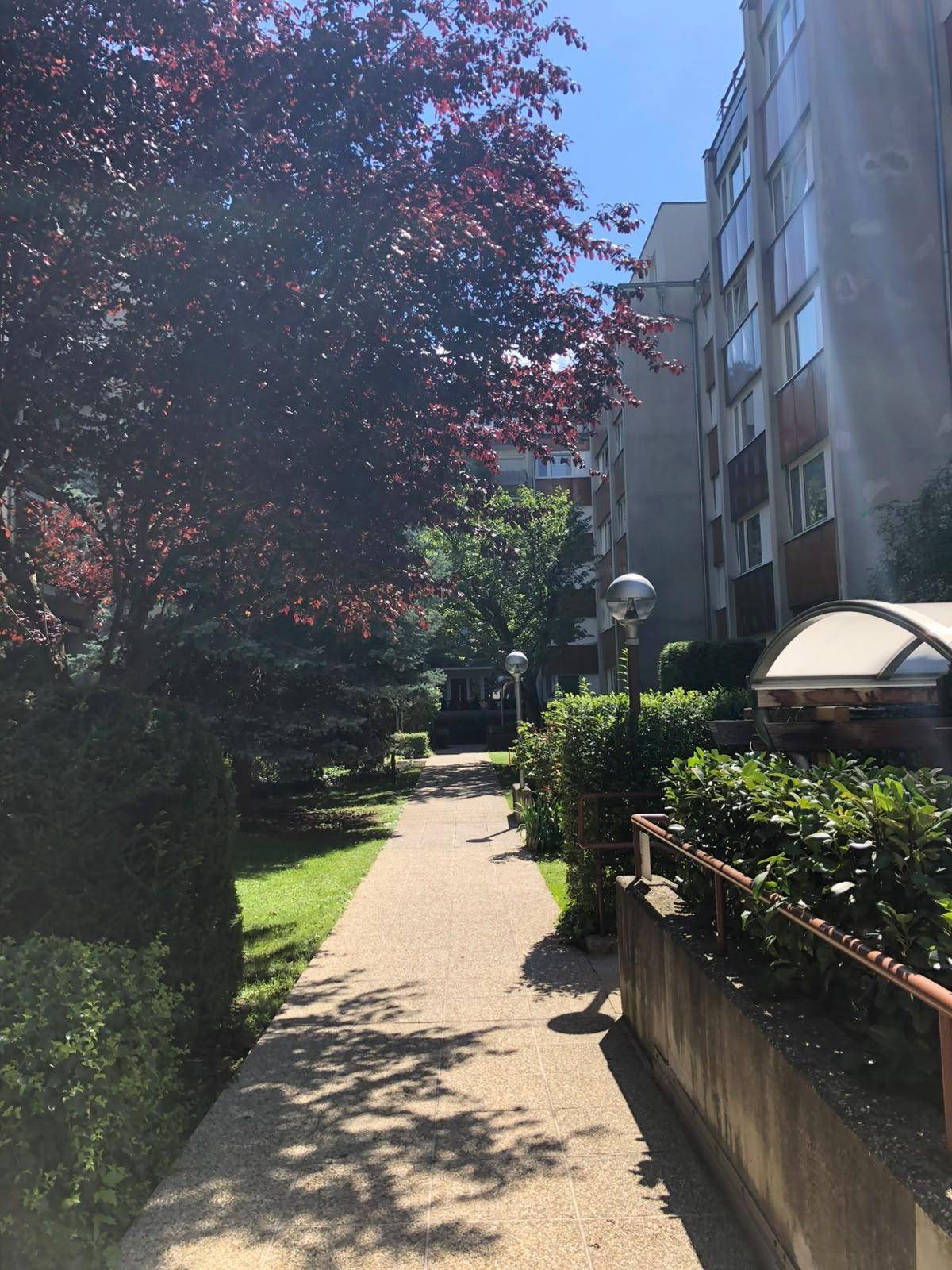 Grüner Weg durch die Wohnanlage mit Bäumen und Sträuchern an einem sonnigen Tag.