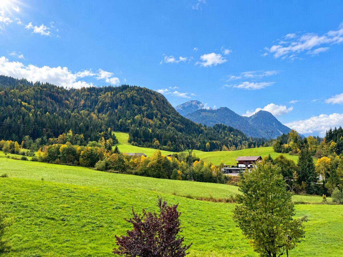 Ausblick