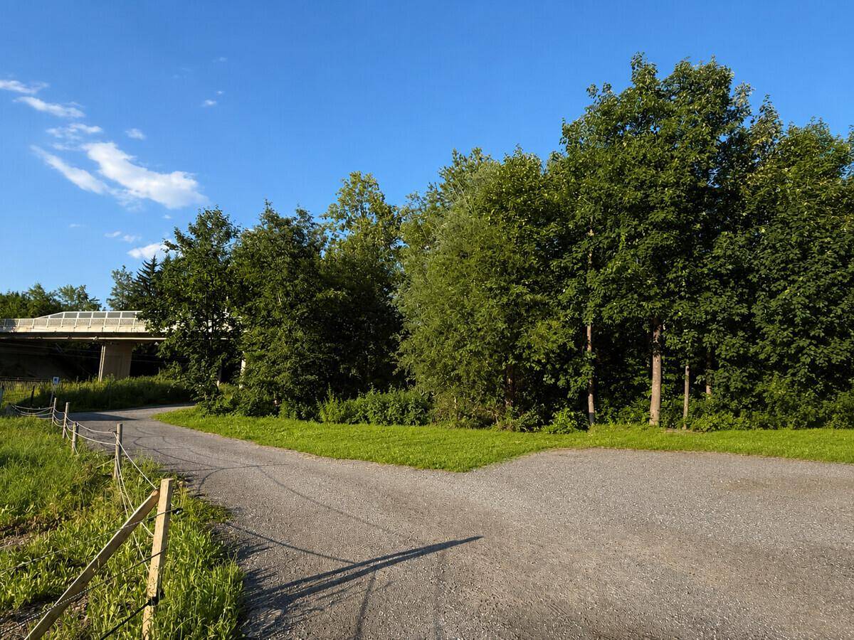 Schotterweg umgeben von Bäumen mit einer Brücke im Hintergrund unter klarem Himmel.