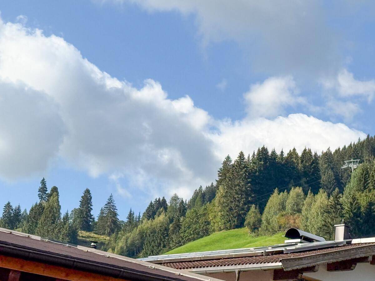 Malerischer Blick auf bewaldete Berghänge und Dächer unter einem blauen Himmel.