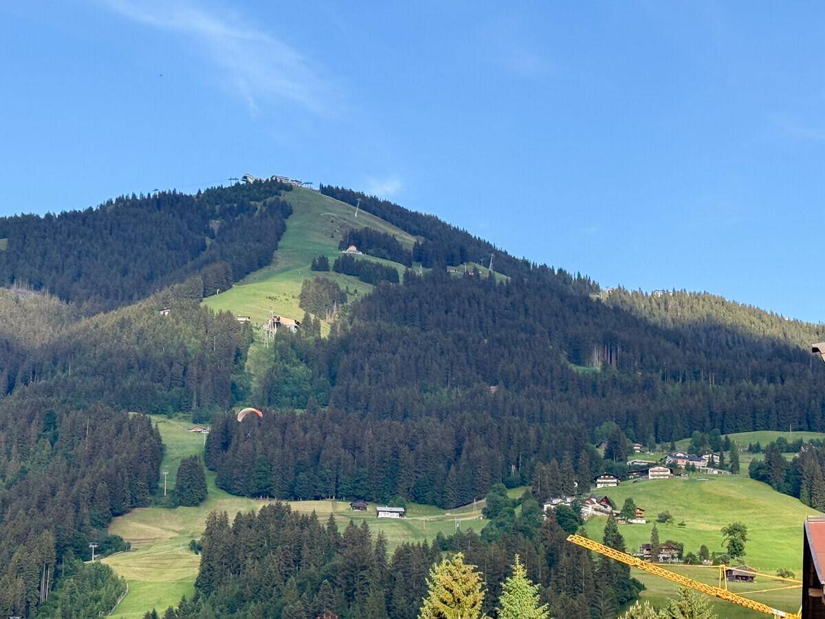 Panoramablick auf bewaldete Berge und Skipisten unter einem klaren blauen Himmel.