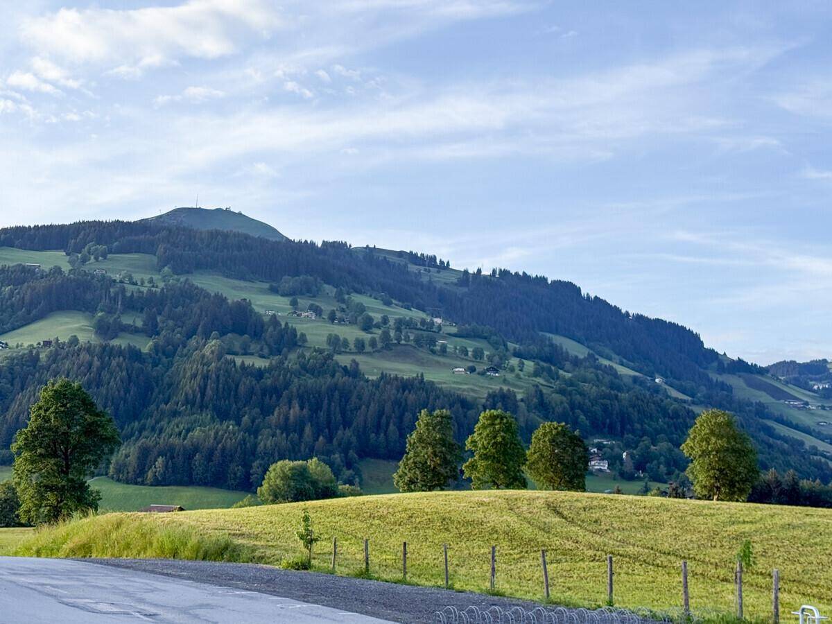 Sanfte grüne Hügellandschaft mit Bäumen und einem weiten Blick unter blauem Himmel.