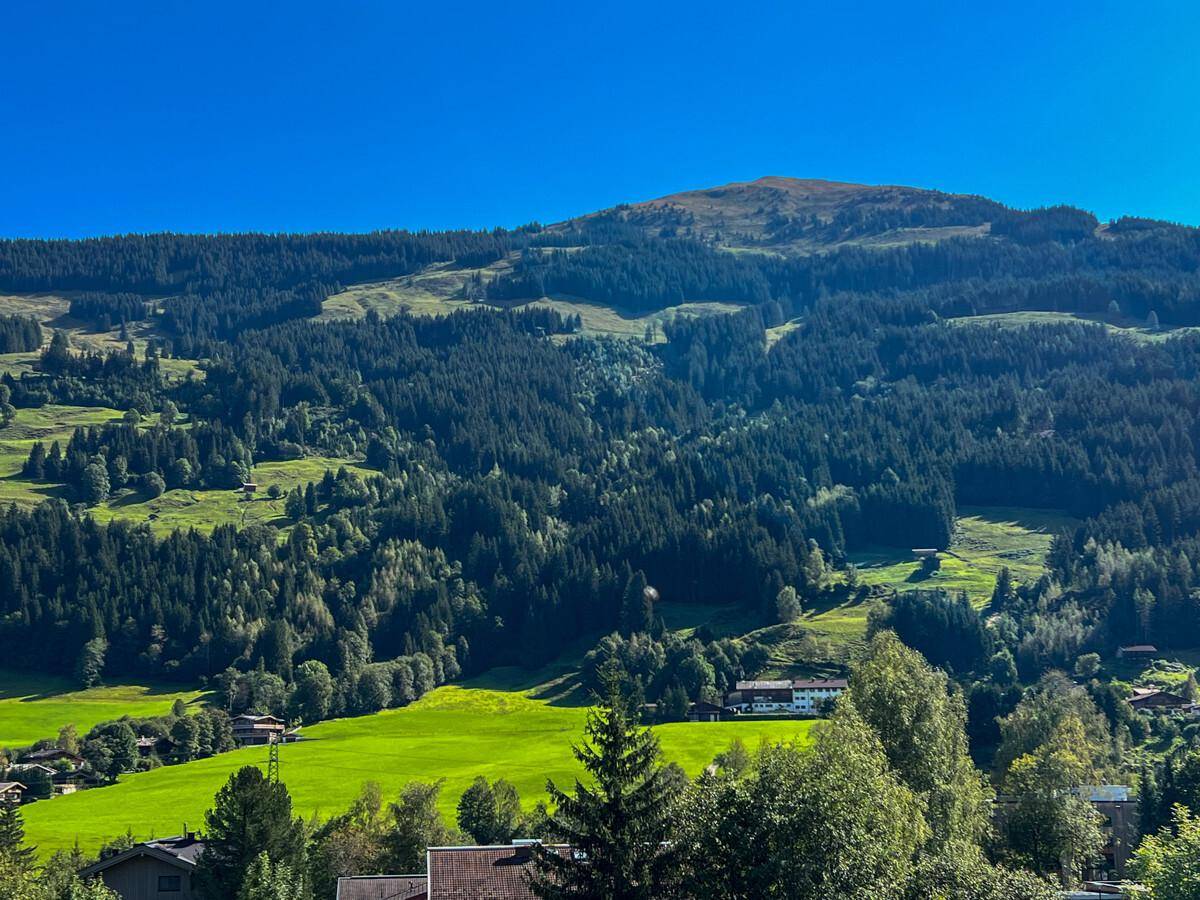 Malerische Berglandschaft mit grünen Hügeln und dichten Wäldern unter blauem Himmel.