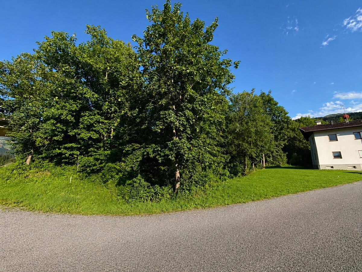 Wohnhaus mit viel Grünfläche und Bäumen unter blauem Himmel, gut gepflegt.