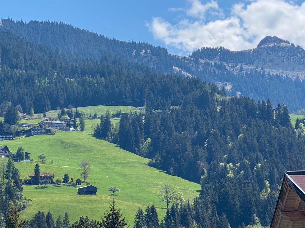 Weitläufiger Blick auf grüne Hügel, Wälder und vereinzelte Häuser in der Alpenregion.